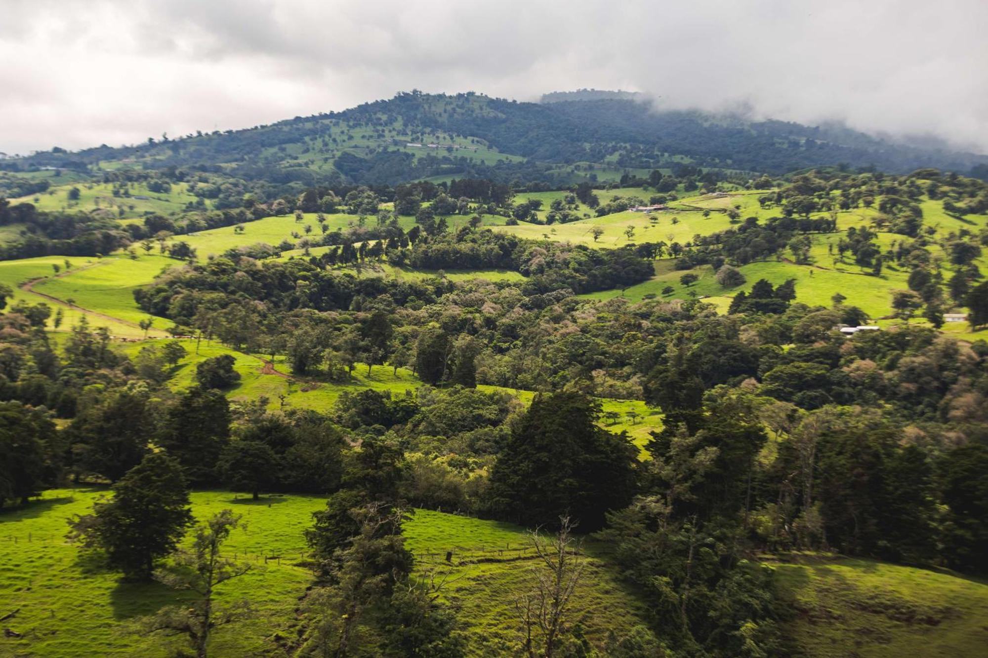 فندق Hyatt Centric San Jose Escazu المظهر الخارجي الصورة